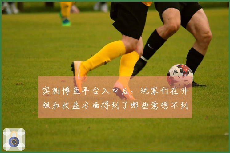 实测博鱼平台入口后，玩家们在升级和收益方面得到了哪些意想不到的提升？