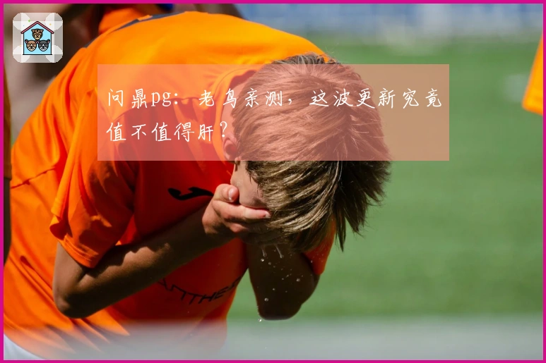 问鼎pg：老鸟亲测，这波更新究竟值不值得肝？